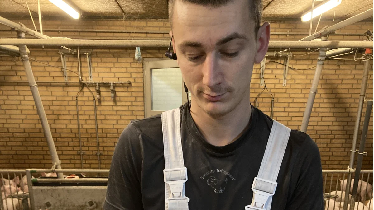 Anders Rold peger på vigtigheden af, at rutinerne i stalden er så håndgribelige som muligt. Her viser medarbejderen Igor de måleskeer, de anvender.