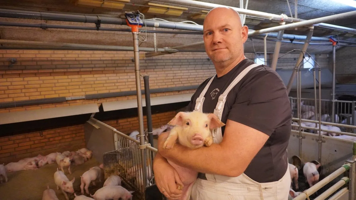Den rette optimerede blanding og et mindset, hvor man udøver det, der skal til, er ifølge Anders Rold vejen frem ved zinkfri fodring. Fotos: Smorup Toftegaard
