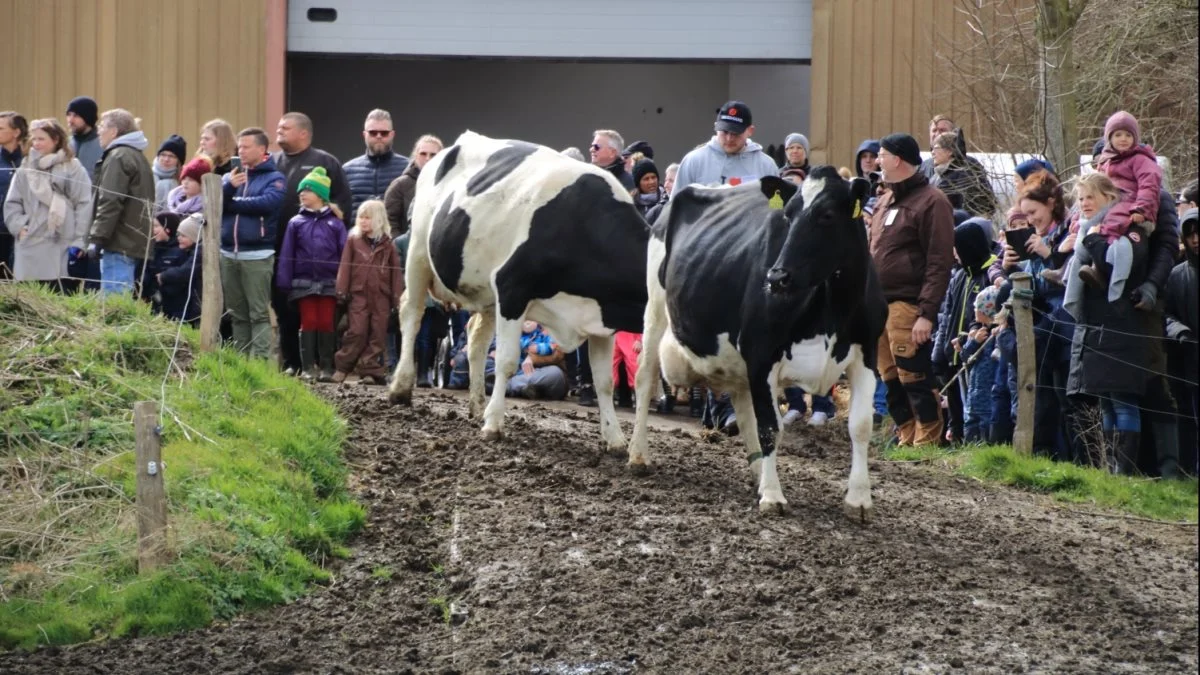 Mellem 3.000-3.500 besøgte Stensigmose på Økodagen, som bedriften afholdt for 14. gang med publikum. Foto: Rune Lyhne