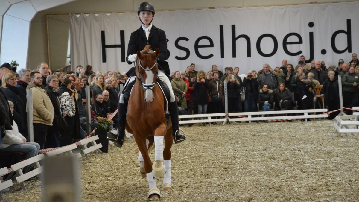 Mange fandt i påsken vej til åbent hus og indvielse af Stutteri Hesselhoej.dk's nye faciliteter i Asperup. Fotos: Camilla Bønløkke