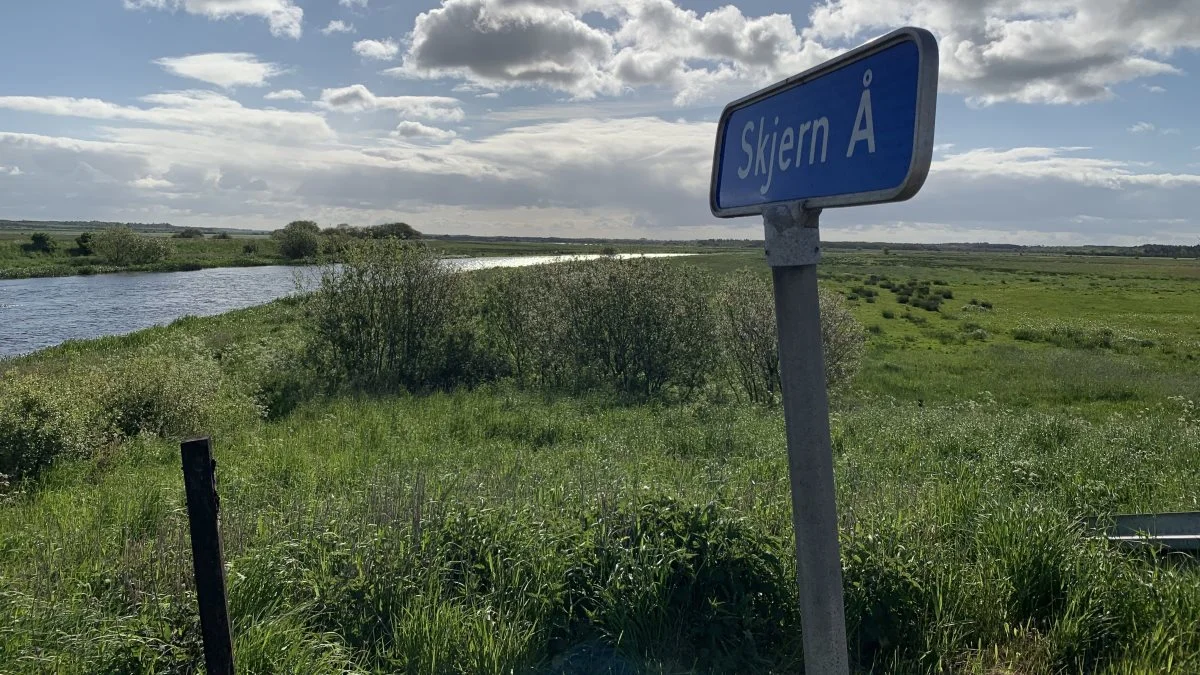 Et råd vil arbejde videre med projekter, der skal sikre balancen mellem naturbeskyttelse og -benyttelse ved Skjern Å, efter at Nationalparkudvalget har nedlagt sig selv. Foto: Ringkøbing-Skjern Kommune