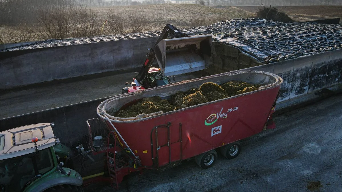 Teleskoplæsseren fra Manitou er den vigtigste maskine på Ørslevkloster Hovedgård, hvor man bruger den til at blande foderet til kreaturerne om morgenen.