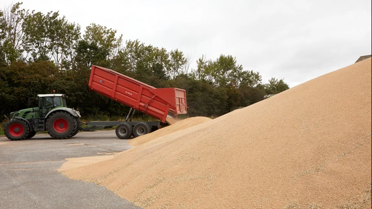 - Vi er dækket frem til og med juni 2022 og skal herefter ud og forlænge kontrakterne, skriver AgroMarkets på sin hjemmeside. Foto: Erik Hansen