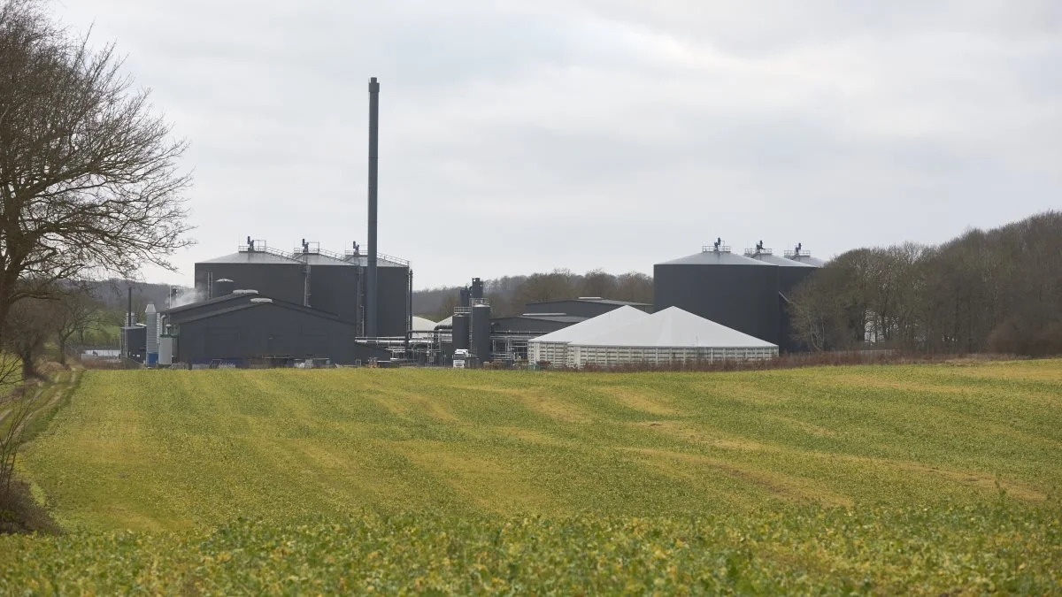 - Metanudledning stammer primært fra køernes bøvser og fra alle husdyrs gødning. En meget stor del af denne gødning går i biogasanlæg. Denne andel skal øges med regeringens nye plan. Det er særdeles positivt, skriver Jens Lund Pedersen. Arkivfoto