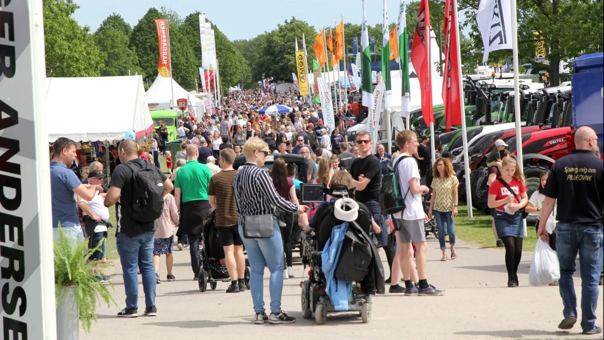 I de 10 dyrskuer siden 2010 har der i gennemsnit været 90.920 besøgende på Dyrskuepladsen i Roskilde. Billedet er fra 2019, hvor der var rekord med over 113.000 gæster. Foto: Jesper Hallgren