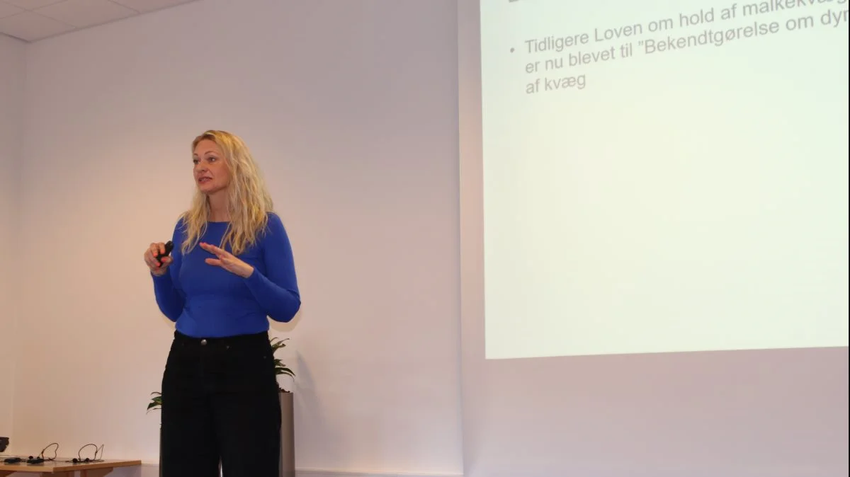 Ifølge specialkonsulent Vibeke Fladkjær, Seges Innovation, er der mange nye stalde, som ikke lever op til lovgivningen. Fotos: Line Brusgaard