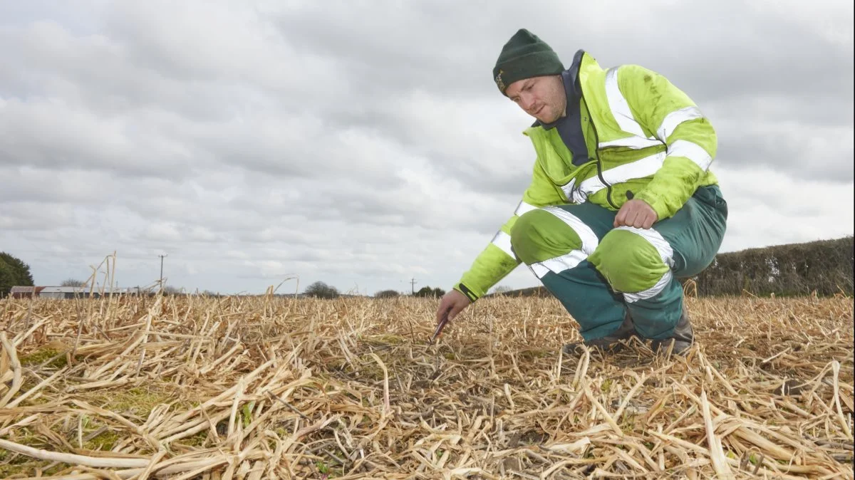 - I år runder vi så de 95 procent af vores areal med no-till. Og snart når vi op på de 100 procent, fortæller Louis AcAuley.