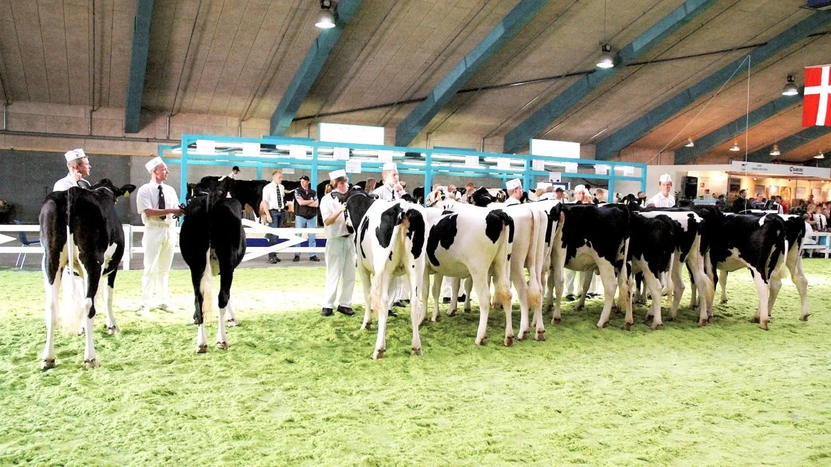 Foto: Erik Hansen