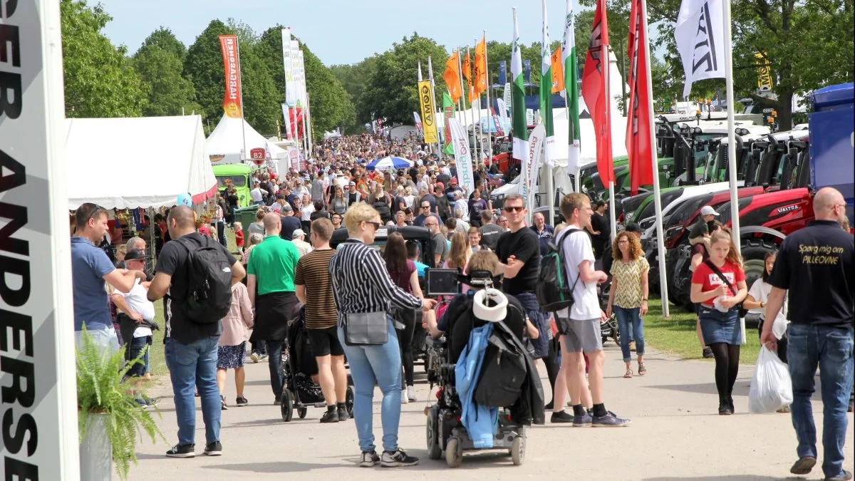 Med over 113.000 gæster var der i 2019 besøgsrekord på Roskilde Dyrskue, og det gav en række udfordringer både indenfor og udenfor Dyrskuepladsen. Foto: Jesper Hallgren 