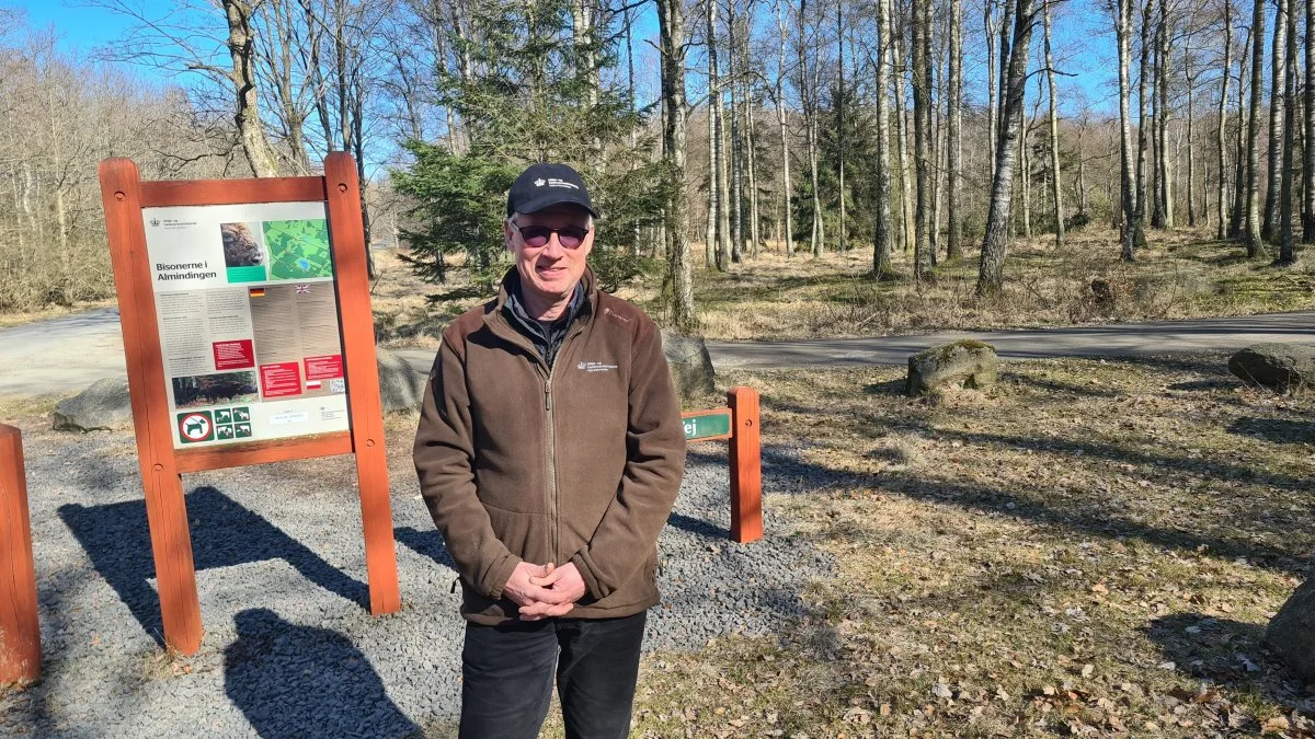 Den kommende naturnationalpark vil have stor positiv betydning for biodiversiteten på Bornholm, siger skovrider hos Naturstyrelsen på klippeøen, Søren Friese. Foto: Henning K. Andersen