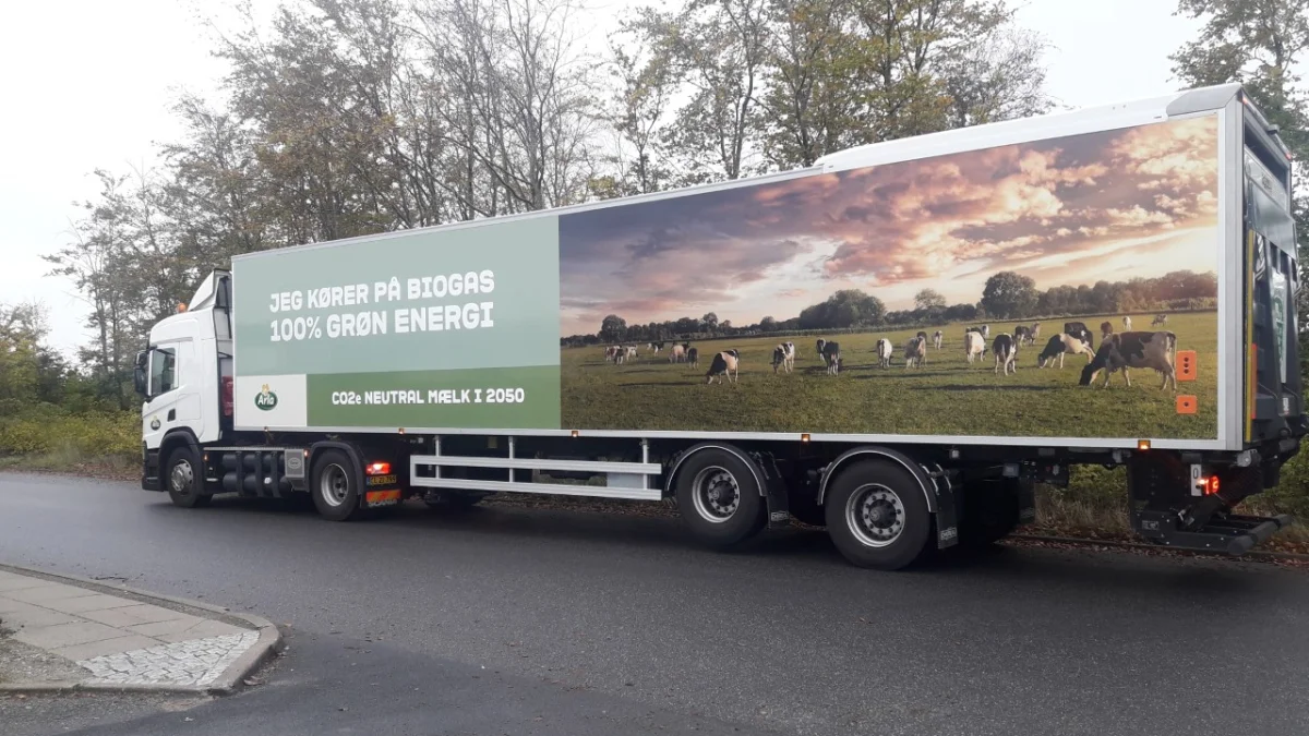 En ko udleder godt 20 m3 gylle om året. Det kan konverteres til omkring 350 liter biogas, som lastbilerne kan køre godt 875 kilometer på. Foto: Arla
