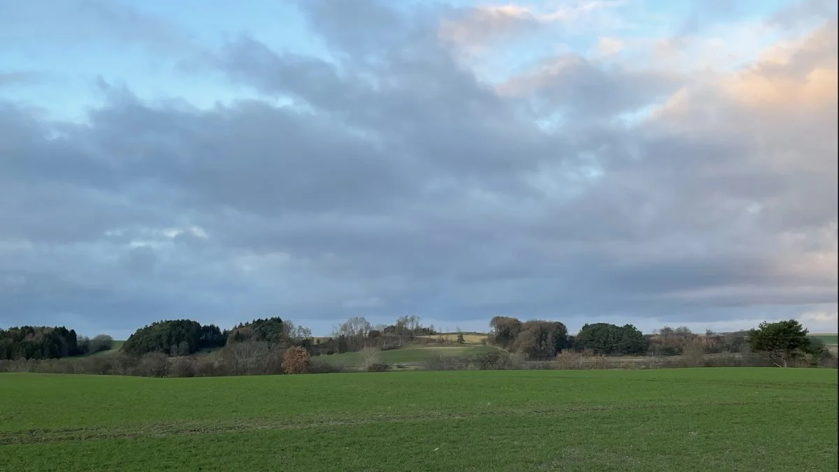 Foto: Djursland Landboforening