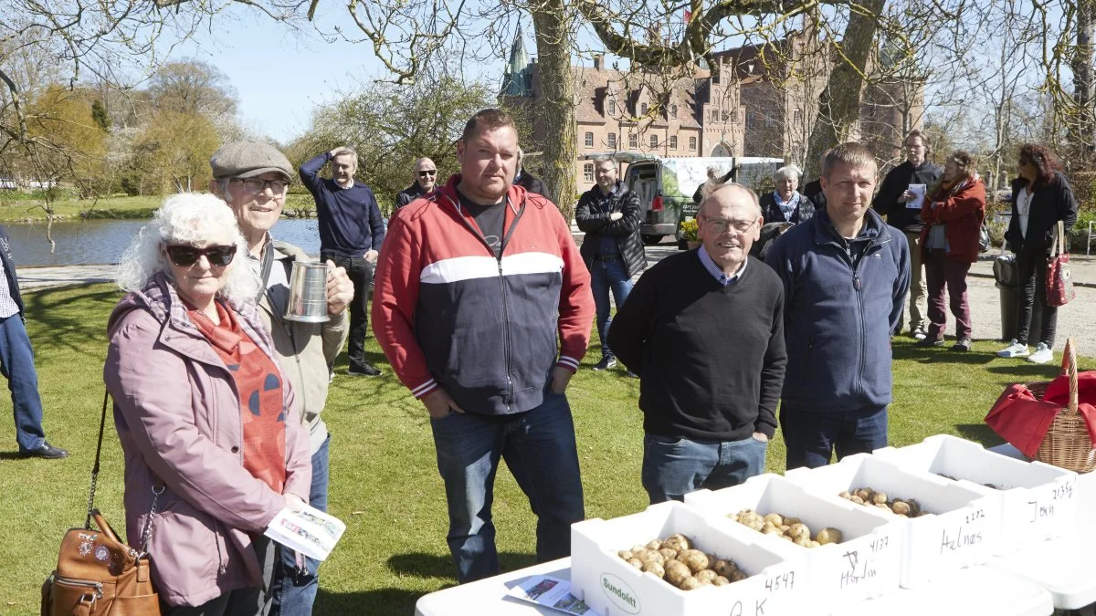 I de smukke omgivelser på Egeskov Slot blev årets danske mesterskab i dyrkning af frilandskartofler afgjort. Fra venstre vinderne Kaja og Aksel Sørensen, Jegerup, med pokal og blomster, nummer to Martin Nielsen fra Glamsbjerg, Regnar Madsen fra Helnæs, som blev nummer tre, samt konkurrencens fjerde deltager, Jan Østergaard fra Otterup. Foto: Erik Hansen