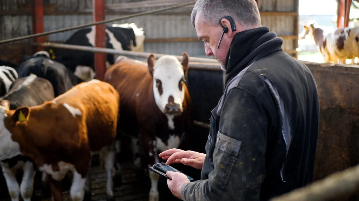 En af dem, der har været med til udviklingen af EasyCow, er Ellinglund Økologi ved Silkeborg. - Jeg har da stadig en blok i lommen, men det er ikke meget, jeg bruger den mere. Det er nemmere at slå op i telefonen, så får du svar med det samme, siger fodermester Henrik Nielsen.