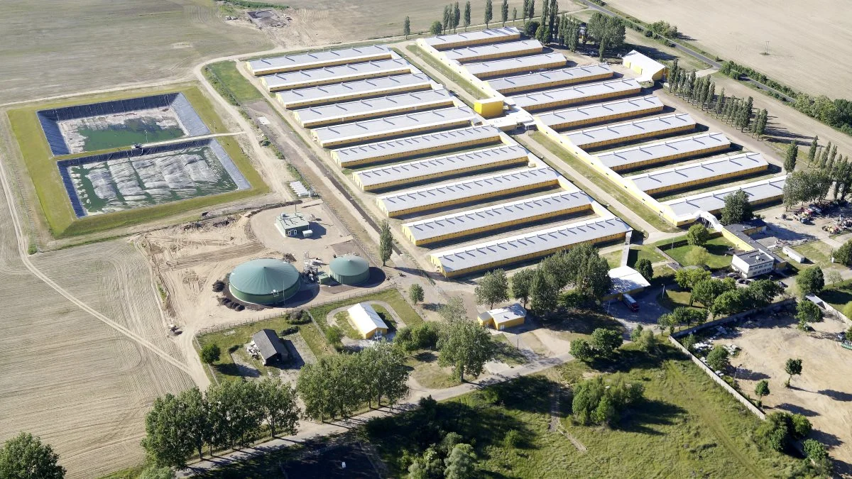 Goodvalley driver store landbrug i både Rusland og Ukraine og er begge steder under stort pres. Virksomheden forsøger at sælge sine russiske aktiviteter. Billedet her viser dog en af de polske varme. Arkivfoto