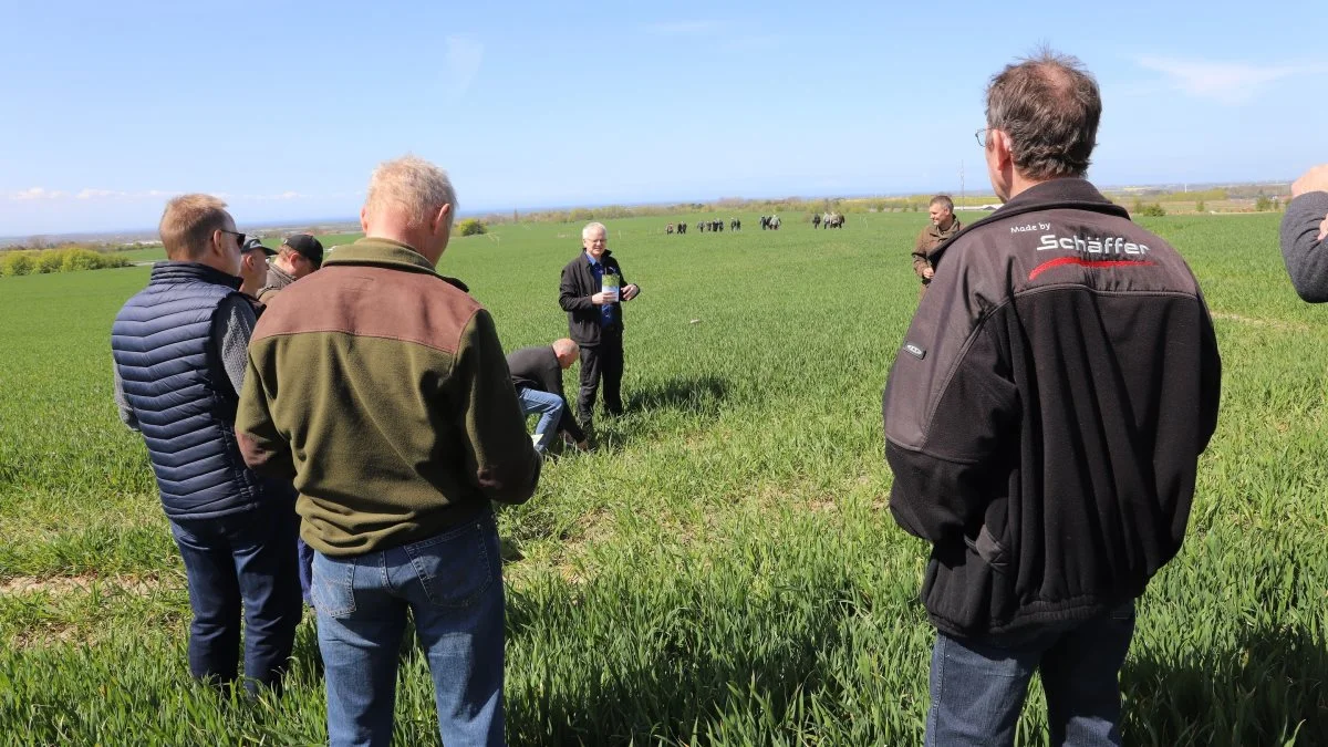 Projektchef fra FRDK, Hans Henrik Pedersen, orienterede tirsdag eftermiddag om mulighederne med efterafgrøder i de pløjefri marker. Foto: FRDK