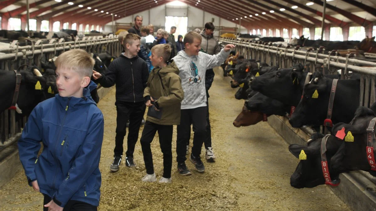 En kvægstald var utrådt land for mange af eleverne.