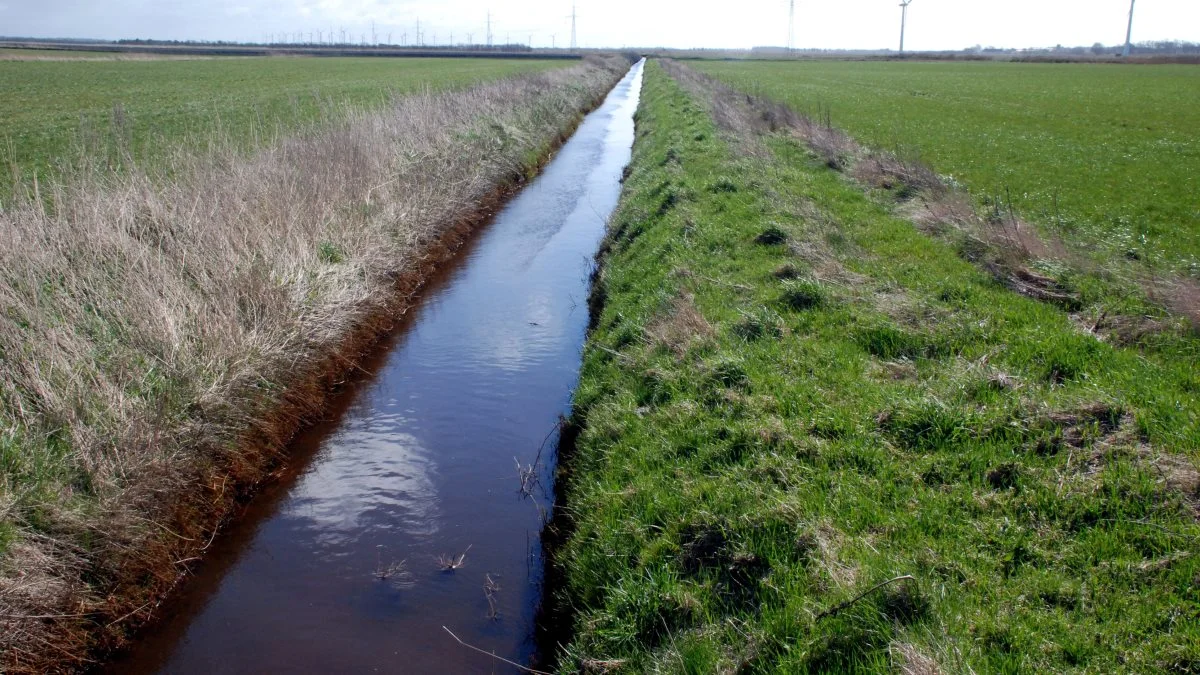Med den nye landbrugsreform skal to-meter bræmmer omkring søer og vandløb udvides med en meter fra 2023. Arkivfoto