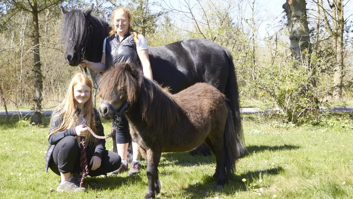 Mor og datter, Jessica Pousset og Laura Pousset Møller Larsen, Fjerritslev, stiller blandt andet med en miniature Shetlænder og en Fell-pony. Fotos: Tenna Bang