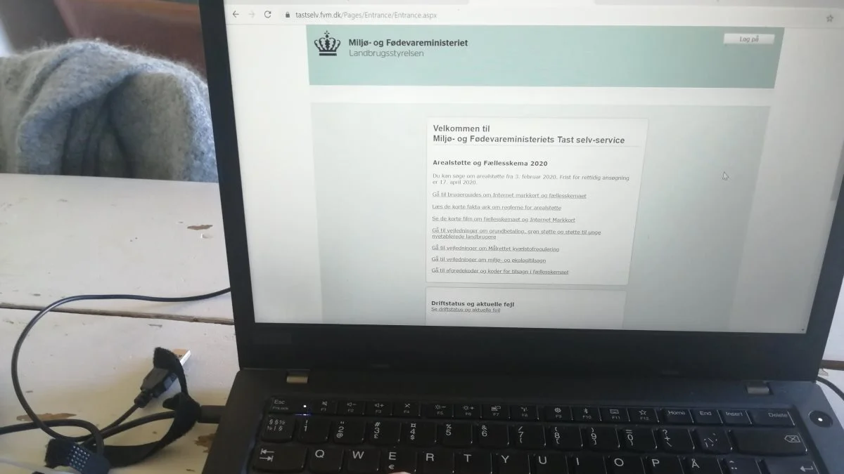 Hvis du har sendt dit fællesskema i forbindelse med arealstøtte-ansøgningen, kan du stadig ændre i det, ligesom du kan nå at indsende et forsinket fællesskema senest den 23. maj. Arkivfoto