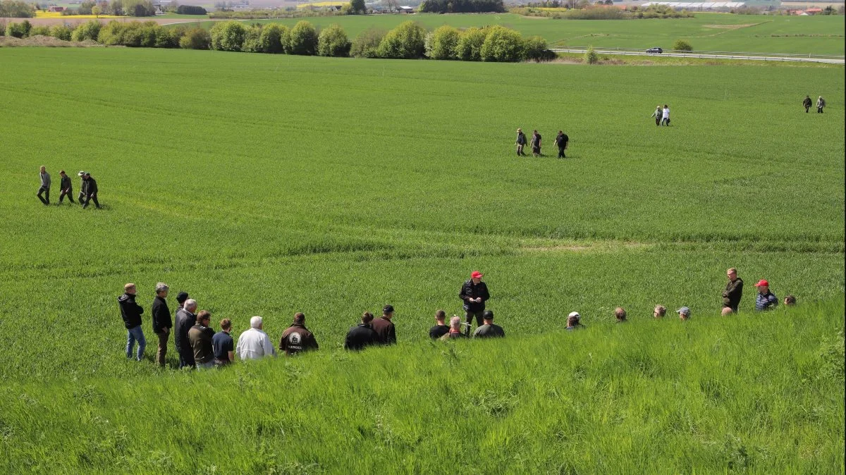 80 landmænd var i går ude at se nærmere på det pløjefri dyrkningssystem sammen med VKST og FRDK.