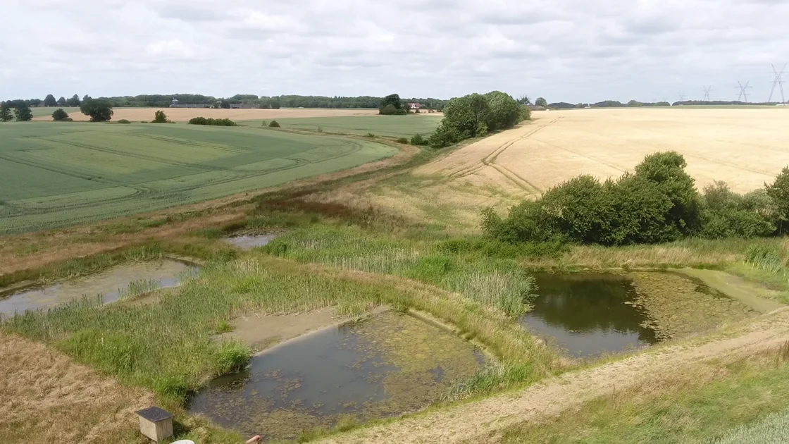 Jeg anbefaler, at man også ser på at prioritere biodiversiteten, når man alligevel er i gang med at nytænke anvendelsen af nogle områder i markerne. Blandt andet omkring minivådområder. 
