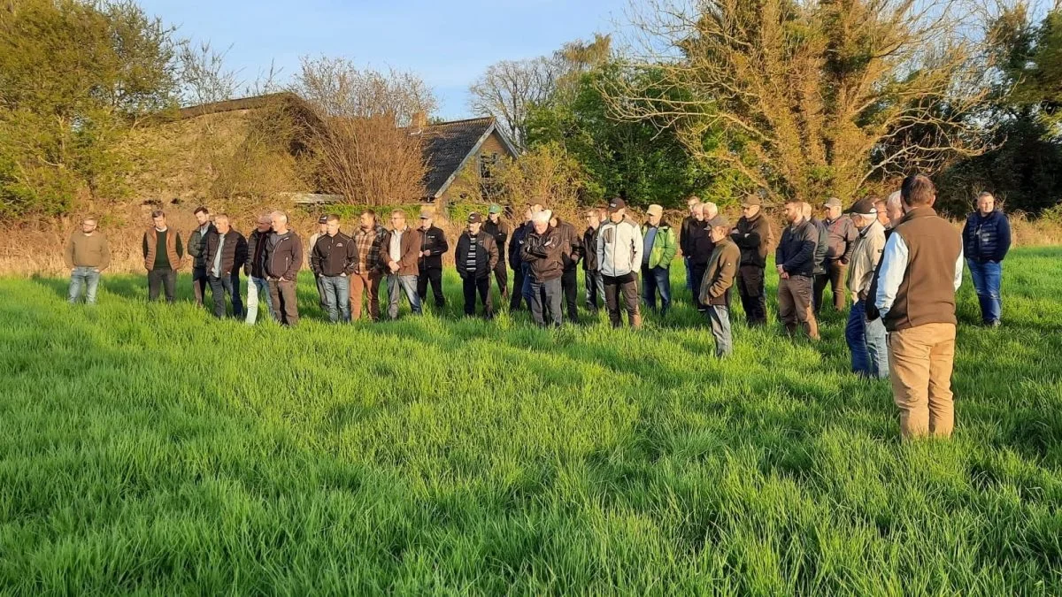 Den første fynske markvandring var på Sydlangeland på Hjortholm Gods, hvor 53 interesserede landmænd var mødt op. Foto: Lennart Banke