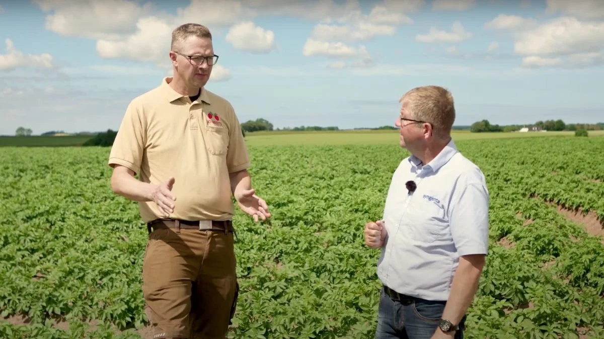 Foto: Syngenta