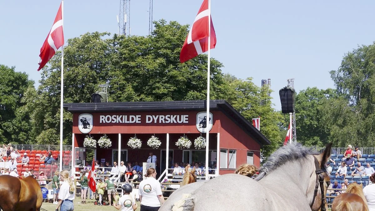Engagerede dyreejere glæder sig til at vise deres dyr frem, og der er noget for både børn og voksne. Foto: Jesper Hallgren  