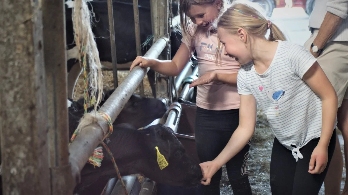 På rundvisningsgårdene er der guidet rundtur, og disse besøg henvender sig til familier med lidt større børn, som har mod på at lytte og lære. Fotos: Djursland Landboforening