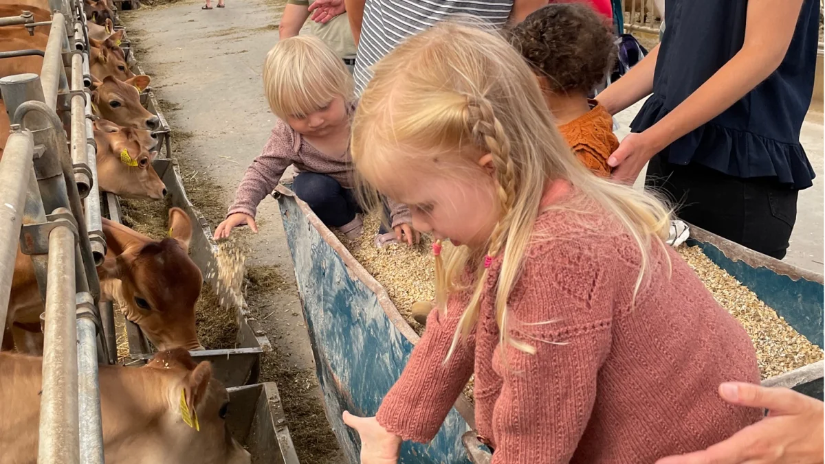 Når man besøger en Djurslandgård, vil familien på gården vise rundt og fortælle om deres dagligdag. 