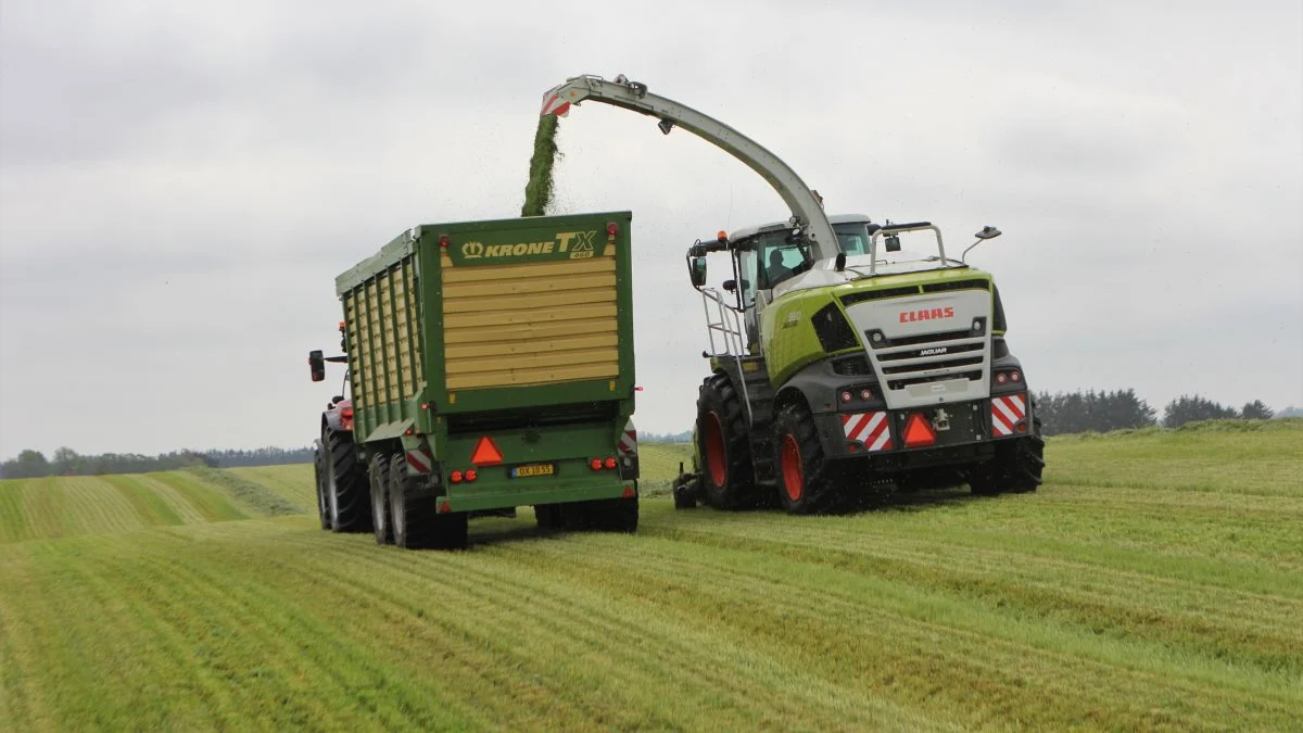 Claas Jaguar 950-snitteren fylder her græs i en Krone-vogn, der er spændt efter en Case IH Puma-traktor. Foto: Kasper Stougård