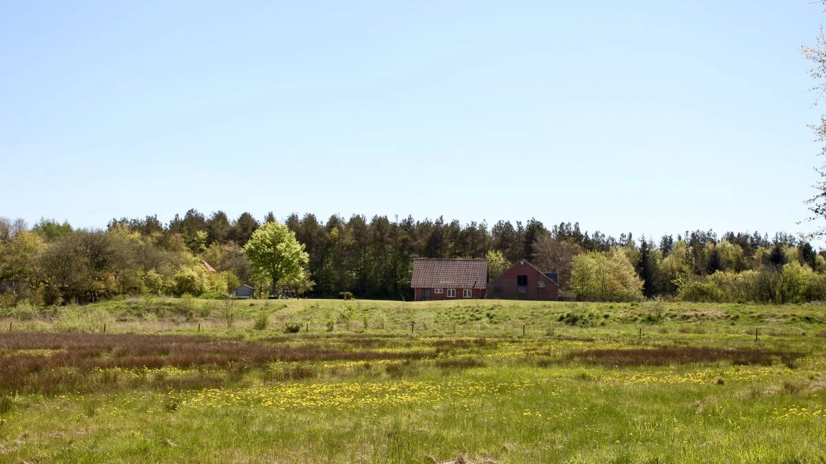 Til efteråret åbner endnu en ansøgningsrunde til multifunktionel jordfordeling, og puljen er større end ved forrige runder. Interesserede kommuner og Naturstyrelsen kan i samarbejde med lokale lodsejere søge. Arkivfoto
