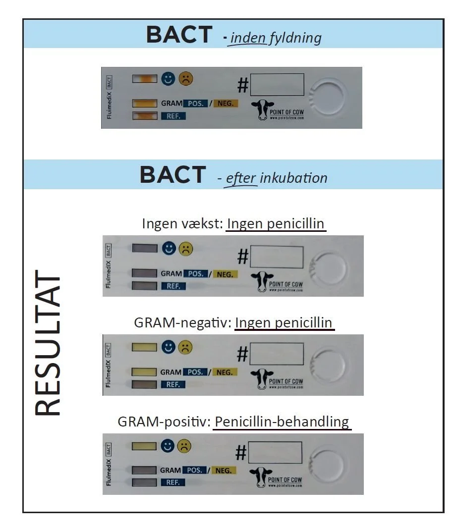 Sådan ser den hurtigtest ud fra Point of Cow, som kan afsløre, om koen skal behandles mod mastitis eller ej. Illustration: Point of cow
