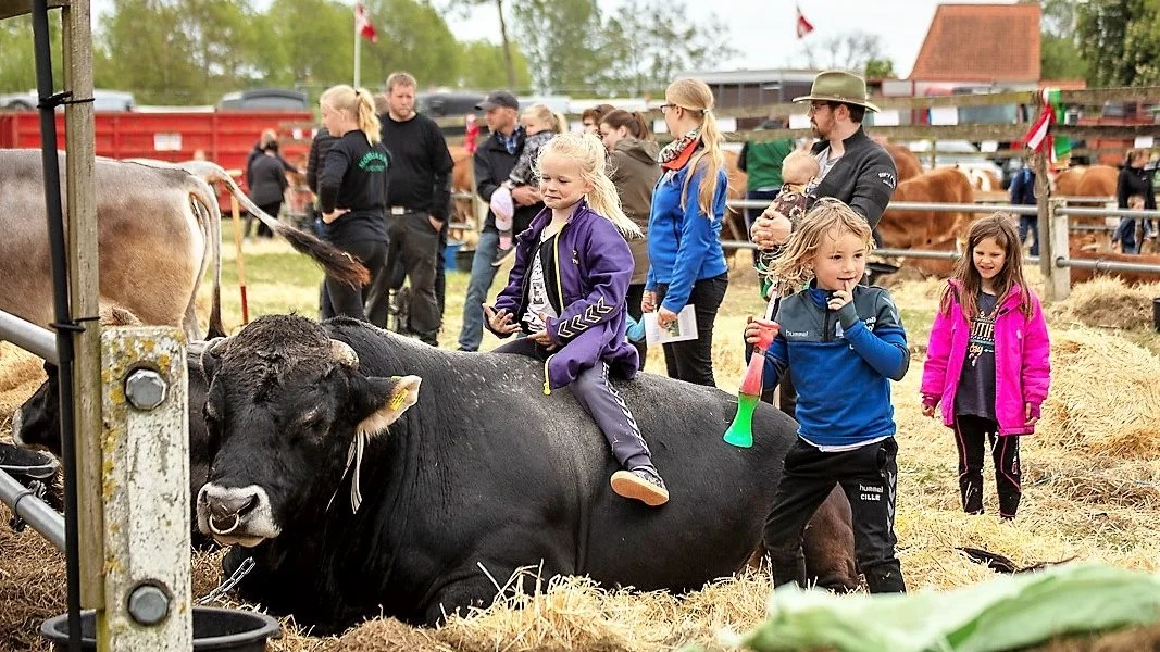 Dyrskue i Aabenraa betyder traditionen tro også af masser af oplevelser og sjov for de mindste. Foto: Anita Osk Fastrup