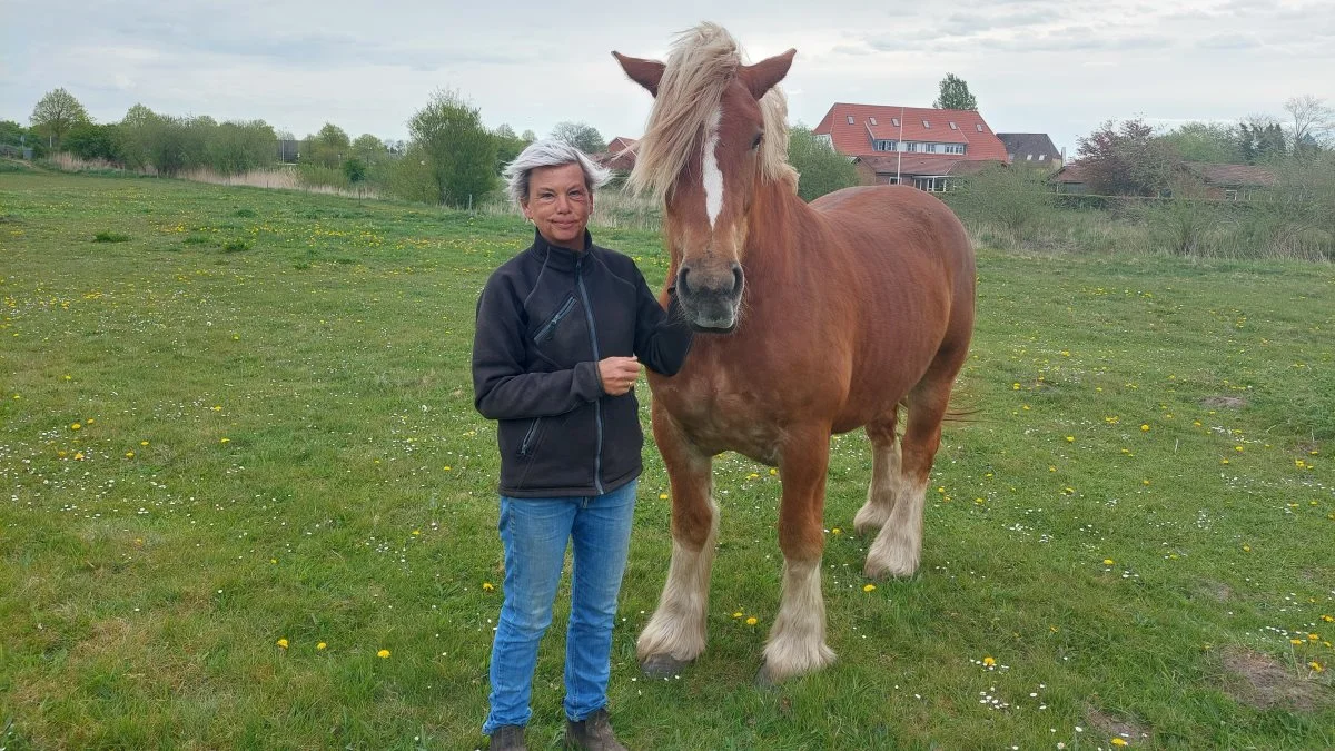 Inger Sørensen glæder sig til igen at deltage på Det Sønderjyske Fællesdyrskue i Aabenraa, hvor hun udstiller i år med den 3-årige jyske hoppe Honey. Foto: John Ankersen