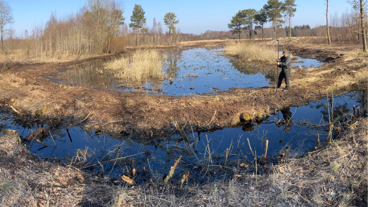  Den Danske Naturfond og Aalborg Kommune genopretter naturen i Hals Mose, så vilde dyr og planter får tabte levesteder tilbage, og der udledes mindre CO2 til atmosfæren. Foto: Aalborg Kommune 