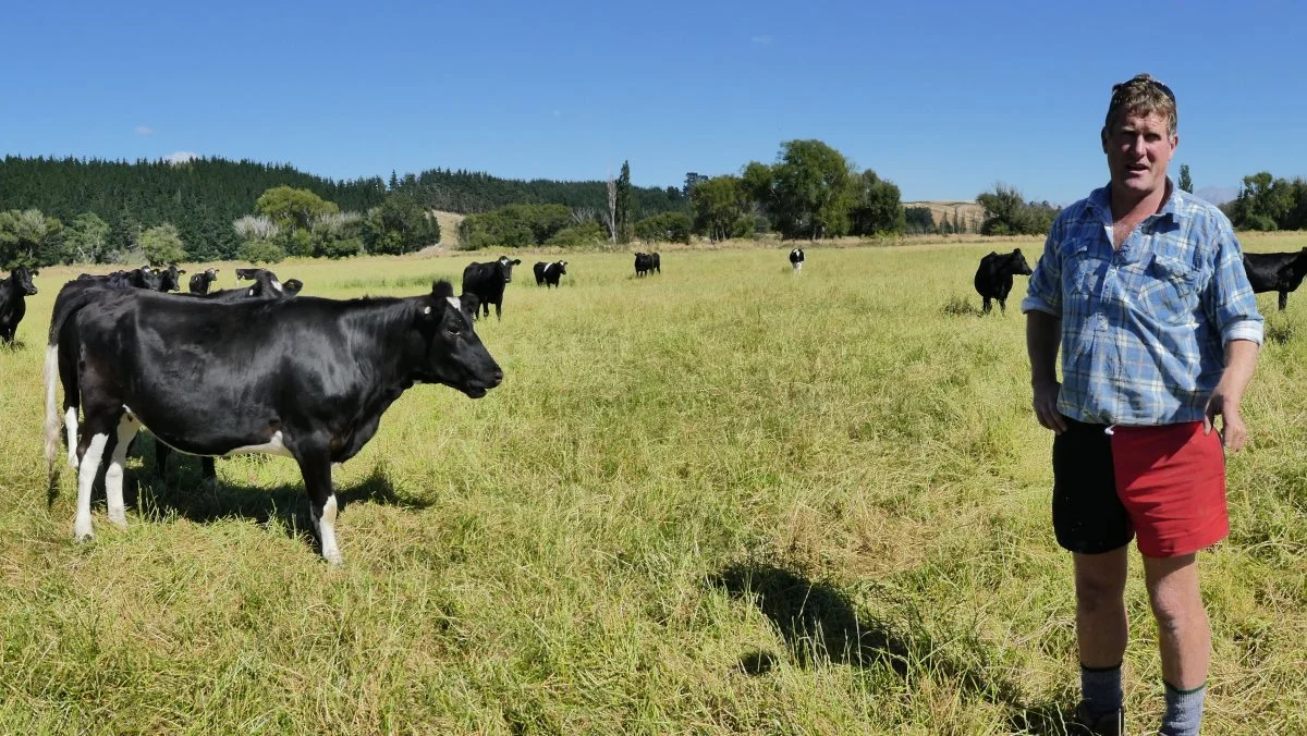 New Zealand har nogle af verdens dygtigste mælkeproducenter, der ikke forventer nogen form for støtte fra den newzealandske regering. Foto: Jørgen P. Jensen