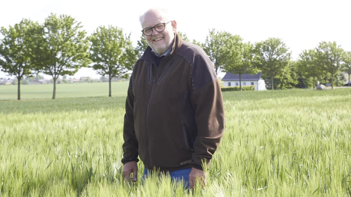 En kommende bygsort er resistent overfor lus. - Det er en ændring i et gen i planten, som gør, at når lusene suger af planten, så dør de, forklarer Karl S. Kudsk, som er planteansvarlig ved Mollerup Mølle.