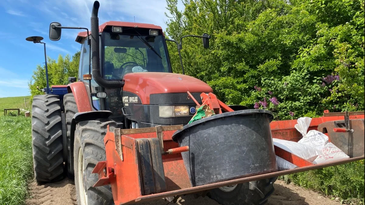 I år skal der etableres 22 kilometer blomsterstriber for i alt 56 landmænd på Djursland – det er fire kilometer mere end sidste år. 