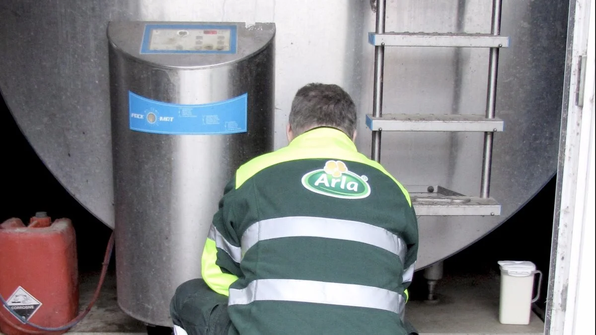Fra juni 2022 stiger Arlas acontopris for konventionel og økologisk mælk med 37,2 øre/kg. Foto: Anne-Marie Glistrup