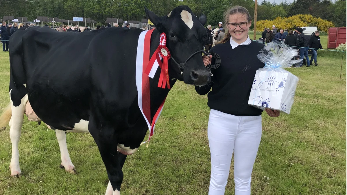 Skuets bedste malkeko, bedste ældre Holstein og bedste yver: Lærke Altena, Tim ved Ringkøbing