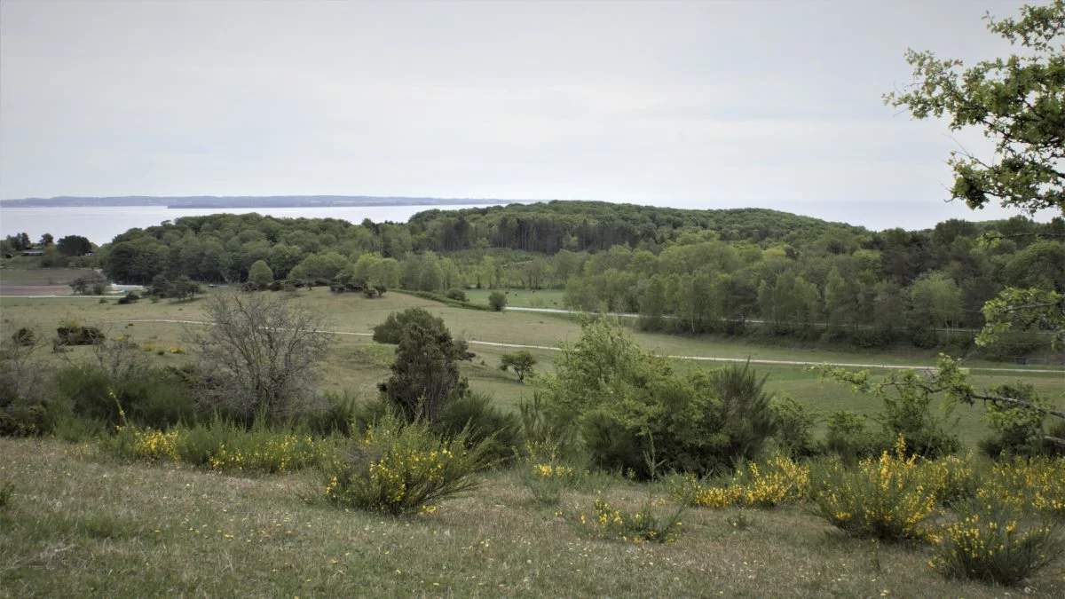 Mols Bjerge. Foto: Djursland Landboforening