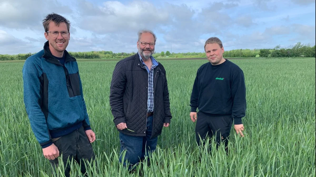 - Rugen er sikker og robust, siger Troels Haugaard Christensen (tv.), der her ses sammen med produktkonsulent Jens Nørskov, Hedegaard Agro (i midten) og Emil Dalsgaard, Danfoil A/S, der står for plantebeskyttelsen i markbruget på Thomasminde. Fotos: Vibeke Fabricius