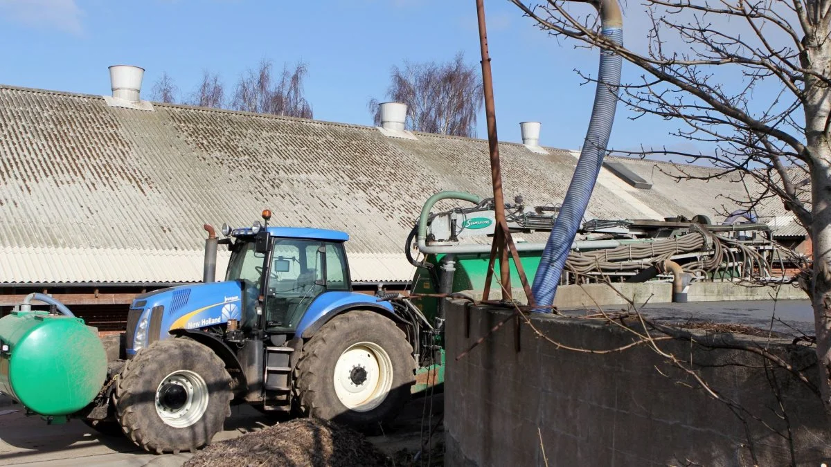 Økonomi og udnyttelse af husdyrgødning afhænger i høj grad af, hvordan den håndteres.