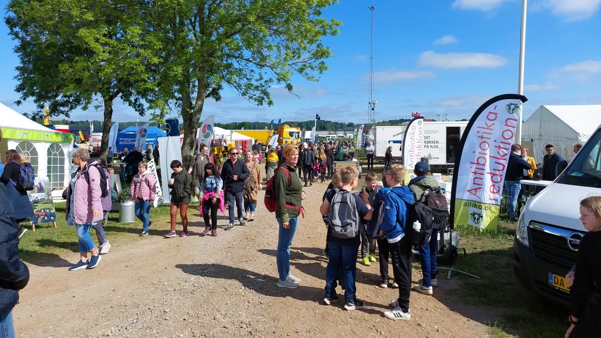 Stort ryk ind fredag formiddag på Det Sønderjyske Fællesdyrskue i Aabenraa, hvor også rigtig mange børn fra daginstitutionerne i Aabenraa og omegn lagde vejen forbi. Foto: John Ankersen