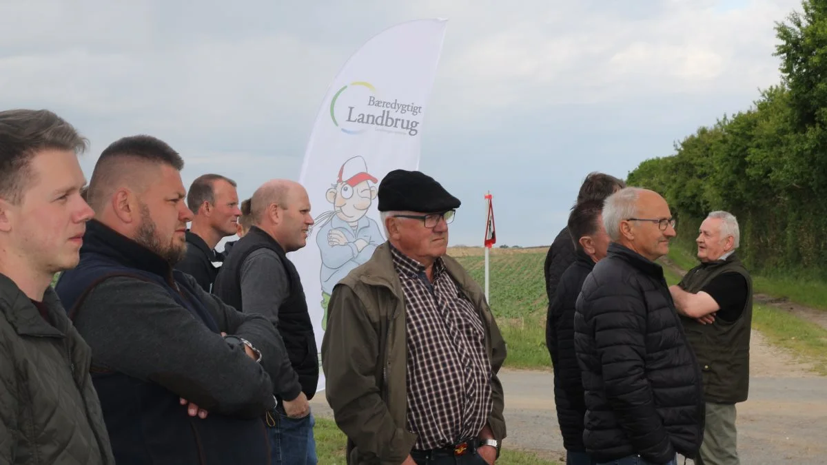 Fynske landmænd til sommermøde hos Bæredygtigt Landbrugs næstformand Niels Hauge Mikkelsen. Fotos: Jacob Lund-Larsen