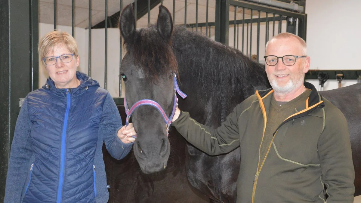 Tina Kirkegaard Eriksen og Mads Milling Eriksen lægger ikke skjul på, at deres hjerter banker for frieserhesten. Fotos: Camilla Bønløkke