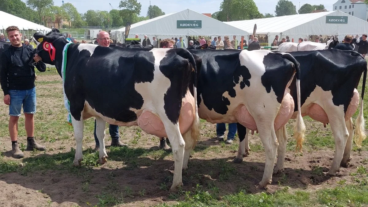 Bedste besætningsgruppe gik til Holstein – gruppen fra Mogens Christensen, Københoved, Rødding. Foto: John Ankersen
Byline: John Ankersen