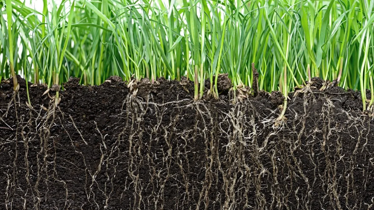 Planteavlerne på Agrovidagen får helt konkrete redskaber til at sikre en mere klimavenlig bedrift. Pressefoto